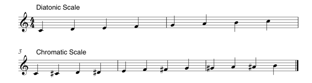 A diatonic scale with 8 notes vs a chromatic scale with 12 notes